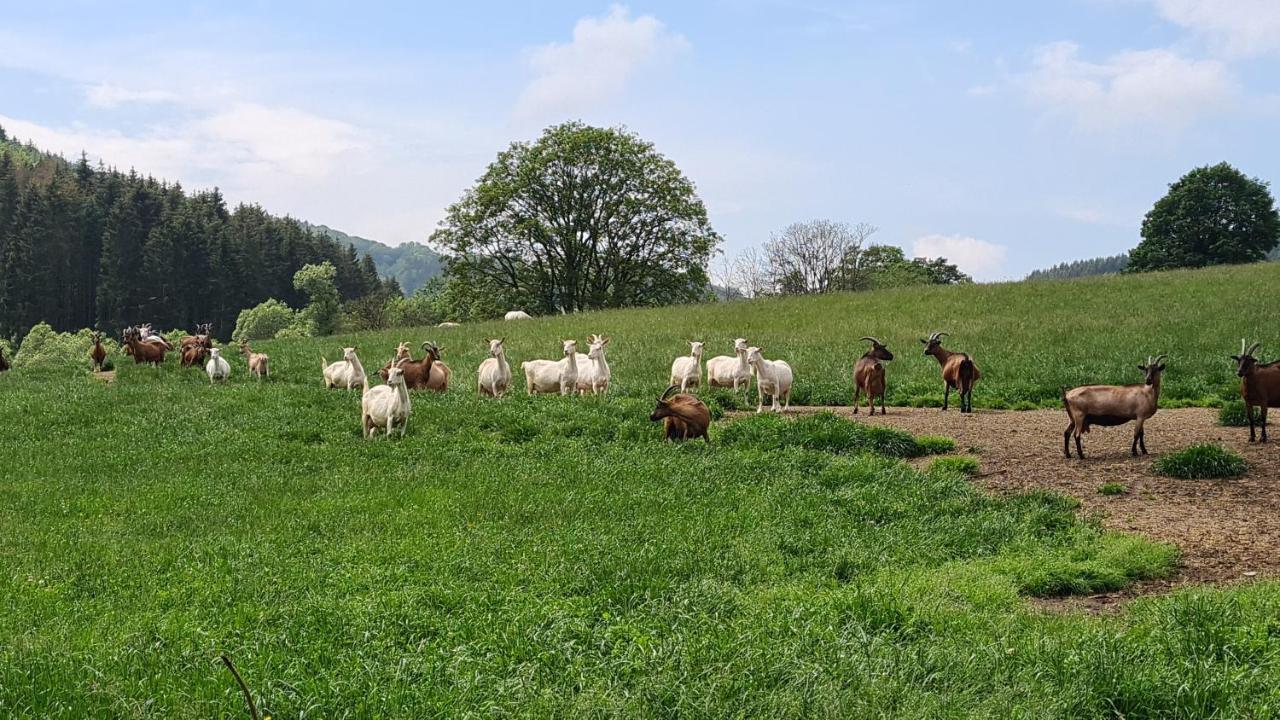 Vakantiehuisje Winterberg Kültér fotó