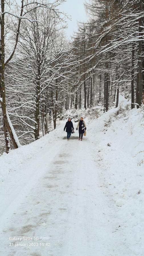 Vakantiehuisje Winterberg Kültér fotó