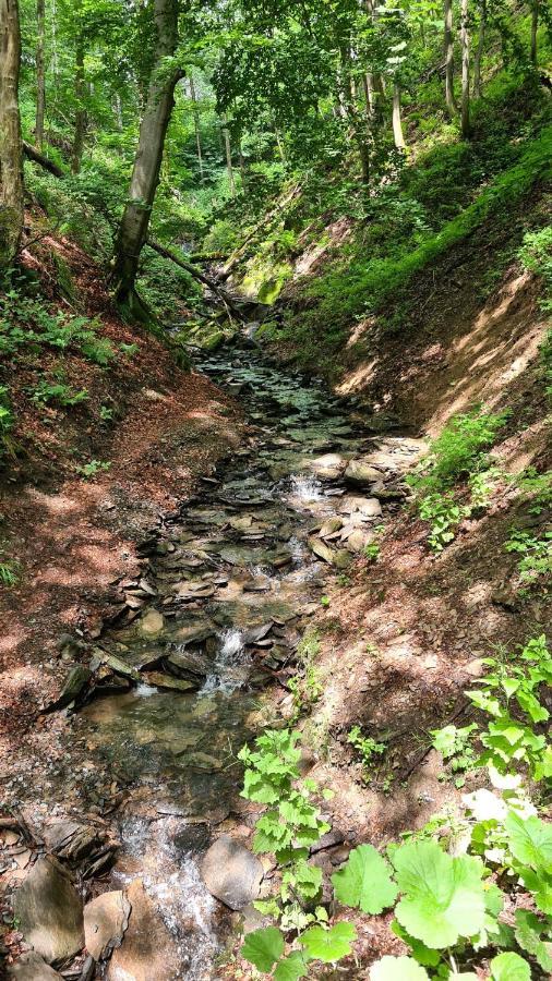 Vakantiehuisje Winterberg Kültér fotó