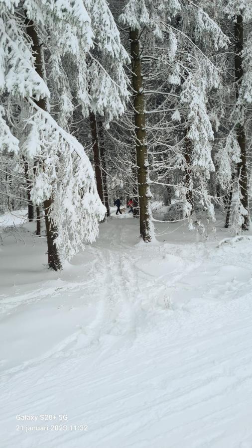 Vakantiehuisje Winterberg Kültér fotó
